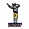 Evergreen University of Washington, Mascot Statue 1 Evergreen University of Washington, Mascot Statue -Cheap Garden Decor Store unnamed file 10365
