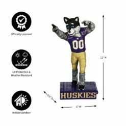 Evergreen University of Washington, Mascot Statue 12 Evergreen University of Washington, Mascot Statue -Cheap Garden Decor Store unnamed file 10369