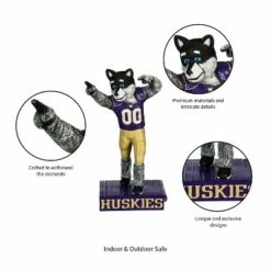 Evergreen University of Washington, Mascot Statue 13 Evergreen University of Washington, Mascot Statue -Cheap Garden Decor Store unnamed file 10370