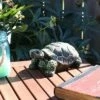 Sunnydaze Decor Sunnydaze Indoor/Outdoor Lifelike Terrance the Tortoise Patio Garden Yard Entryway Decorative Statue - 9"