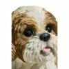 HI-LINE GIFT LTD 11" Polyresin Sitting Shih Tzu Puppy Statue Brown/White - Hi-Line Gift 1 HI-LINE GIFT LTD 11" Polyresin Sitting Shih Tzu Puppy Statue Brown/White - Hi-Line Gift -Cheap Garden Decor Store unnamed file 1054