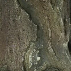 Sunnydaze Decor Sunnydaze Outdoor Polyresin Owl Duo on Tree Stump Patio Lawn and Garden Decorative Accent Statue - 31" 13 Sunnydaze Decor Sunnydaze Outdoor Polyresin Owl Duo on Tree Stump Patio Lawn and Garden Decorative Accent Statue - 31" -Cheap Garden Decor Store unnamed file 10598