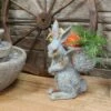 Sunnydaze Decor Sunnydaze 17" Roman the Carrot Collector Rabbit Indoor/Outdoor Statue Figurine - Patio, Lawn and Garden Decoration -Cheap Garden Decor Store unnamed file 10686