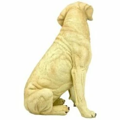 Design Toscano Golden Labrador Retriever Dog Statue 9 Design Toscano Golden Labrador Retriever Dog Statue -Cheap Garden Decor Store unnamed file 1084