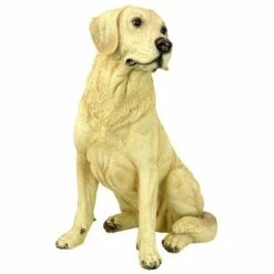 Design Toscano Golden Labrador Retriever Dog Statue 11 Design Toscano Golden Labrador Retriever Dog Statue -Cheap Garden Decor Store unnamed file 1086