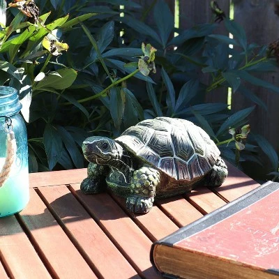 Sunnydaze Decor Sunnydaze Indoor/Outdoor Lifelike Polyresin Terrance the Tortoise Patio Garden Yard Entryway Decorative Statue - 9" - 2pk 3 Sunnydaze Decor Sunnydaze Indoor/Outdoor Lifelike Polyresin Terrance the Tortoise Patio Garden Yard Entryway Decorative Statue - 9" - 2pk