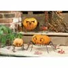 Set of 2 Iron Pumpkin Holders Owl - Evergreen 2 Set of 2 Iron Pumpkin Holders Owl - Evergreen -Cheap Garden Decor Store unnamed file 11263