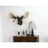 HI-LINE GIFT LTD 27" Polyresin Moose Head Wall Mount Outdoor Statue Black - Hi-Line Gift -Cheap Garden Decor Store unnamed file 1132