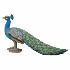 HI-LINE GIFT LTD 12" Polyresin Standing Small Peacock Statue Blue - Hi-Line Gift -Cheap Garden Decor Store unnamed file 1135