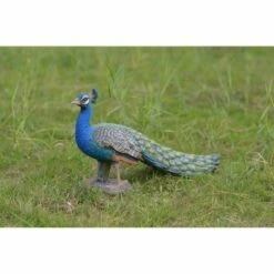 HI-LINE GIFT LTD 12" Polyresin Standing Small Peacock Statue Blue - Hi-Line Gift -Cheap Garden Decor Store unnamed file 1137