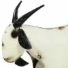 Sunnydaze Decor Sunnydaze Scruff the Steel Yard Art Goat Statue - 13.5-Inch - White - Set of 2 1 Sunnydaze Decor Sunnydaze Scruff the Steel Yard Art Goat Statue - 13.5-Inch - White - Set of 2 -Cheap Garden Decor Store unnamed file 11373