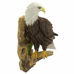 Design Toscano American Bald Eagle Bird Of Prey Wall Sculpture - Multicolored 8 Design Toscano American Bald Eagle Bird Of Prey Wall Sculpture - Multicolored -Cheap Garden Decor Store unnamed file 11520