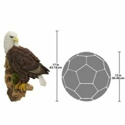 Design Toscano American Bald Eagle Bird Of Prey Wall Sculpture - Multicolored 9 Design Toscano American Bald Eagle Bird Of Prey Wall Sculpture - Multicolored -Cheap Garden Decor Store unnamed file 11521