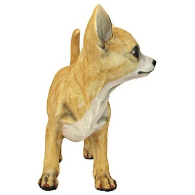 Design Toscano Fernando The Chihuahua Statue 4 Design Toscano Fernando The Chihuahua Statue - Image 3