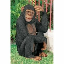 Design Toscano Chauncey The Confused Chimp Garden Monkey Statue