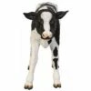 Design Toscano Buttercup, The Life-Size Holstein Calf Dairy Cow Statue 1 Design Toscano Buttercup, The Life-Size Holstein Calf Dairy Cow Statue -Cheap Garden Decor Store unnamed file 1181