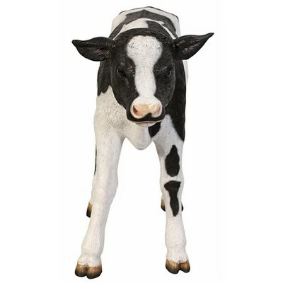 Design Toscano Buttercup, The Life-Size Holstein Calf Dairy Cow Statue 3 Design Toscano Buttercup, The Life-Size Holstein Calf Dairy Cow Statue