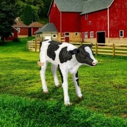 Design Toscano Buttercup, The Life-Size Holstein Calf Dairy Cow Statue 8 Design Toscano Buttercup, The Life-Size Holstein Calf Dairy Cow Statue -Cheap Garden Decor Store unnamed file 1182