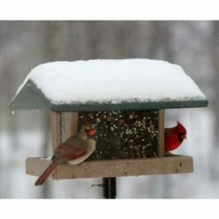 Birds Choice 3qt 4-Sided Hopper with Green Roof Bird Feeder