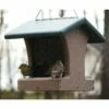 Birds Choice 1-1/2 Quart 2-Sided Hopper Bird Feeder with Hanging Cable