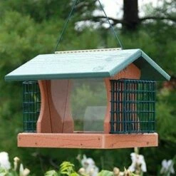 Woodlink 24421 Going Green 5.5 Pound Seed Recycled Plastic Hanging Bird Feeder with 2 Suet Feeder Cages, Green