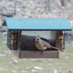 Birds Choice Cage Feeder with Base and Roof Top Bird Feeder -Cheap Garden Decor Store unnamed file 11984