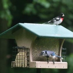 Birds Choice Cage Feeder with Base and Roof Top Bird Feeder -Cheap Garden Decor Store unnamed file 11985