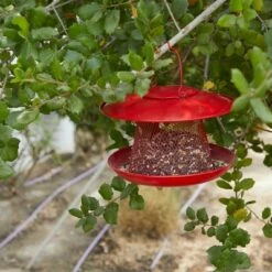 Farmlyn Creek Red Hanging Bird Feeder Hopper for Outdoors, 11 x 8.7 in