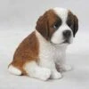 HI-LINE GIFT LTD 6.75" Polyresin Saint Bernard Puppy Statue White/Brown - Hi-Line Gift -Cheap Garden Decor Store unnamed file 1207