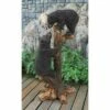 Design Toscano Climbing Cubs Black Bear Statue - Black 2 Design Toscano Climbing Cubs Black Bear Statue - Black -Cheap Garden Decor Store unnamed file 1215