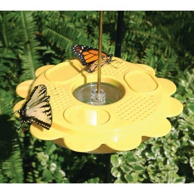 Birds Choice Flutterby Butterfly Bird Feeder - 12oz 3 Birds Choice Flutterby Butterfly Bird Feeder - 12oz - Image 2