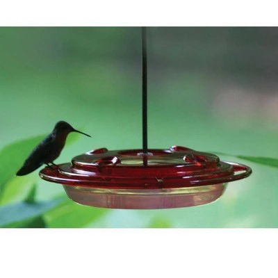 Birds Choice 8oz Hummingbird Bird Feeder 3 Birds Choice 8oz Hummingbird Bird Feeder - Image 2
