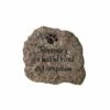 Evergreen Stepping Stone, in Memory of a Faithful Friend and Companion 2 Evergreen Stepping Stone, in Memory of a Faithful Friend and Companion -Cheap Garden Decor Store unnamed file 12486