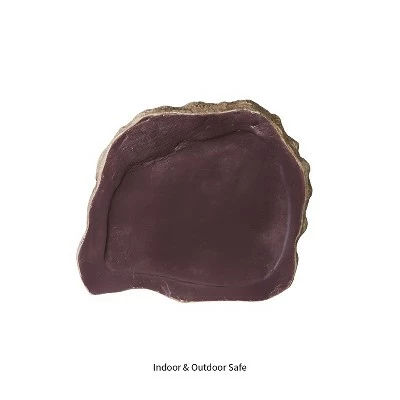 Evergreen Stepping Stone, in Memory of a Faithful Friend and Companion 4 Evergreen Stepping Stone, in Memory of a Faithful Friend and Companion - Image 2