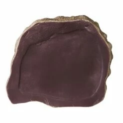 Evergreen Stepping Stone, in Memory of a Faithful Friend and Companion 15 Evergreen Stepping Stone, in Memory of a Faithful Friend and Companion -Cheap Garden Decor Store unnamed file 12492