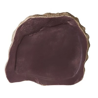 Evergreen Stepping Stone, in Memory of a Faithful Friend and Companion 9 Evergreen Stepping Stone, in Memory of a Faithful Friend and Companion - Image 7