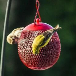 3pk Hanging Bird Feeder Set - Backyard Expressions