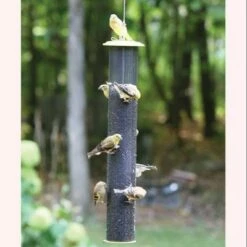 Birds Choice 2-1/4qt Magnet Mesh Tube Finch Feeder -Cheap Garden Decor Store unnamed file 12689