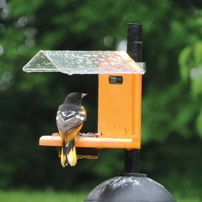 Birds Choice Pole-Mounted Jelly Bird Feeder 5 Birds Choice Pole-Mounted Jelly Bird Feeder - Image 3