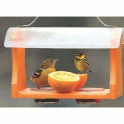 Birds Choice Poly-Recycled Oriole Bird Feeder -Cheap Garden Decor Store unnamed file 12746