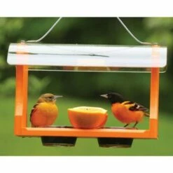 Birds Choice Poly-Recycled Oriole Bird Feeder -Cheap Garden Decor Store unnamed file 12747