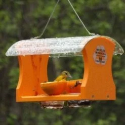 Birds Choice Poly-Recycled Oriole Bird Feeder -Cheap Garden Decor Store unnamed file 12748