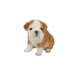 HI-LINE GIFT LTD 6.5" Polyresin Bulldog Puppy Statue Brown/White - Hi-Line Gift -Cheap Garden Decor Store unnamed file 1280