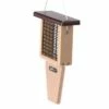 Birds Choice Single-Cake Tail-Prop Suet Bird Feeder with Brown Top 2 Birds Choice Single-Cake Tail-Prop Suet Bird Feeder with Brown Top -Cheap Garden Decor Store unnamed file 13179