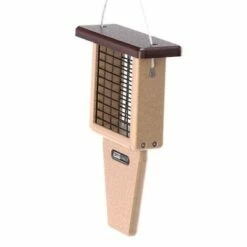 Birds Choice Bird Single-Cake Tail-Prop Suet Bird Feeder with Green Top