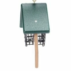 Birds Choice 2-Cake Feeder with Angled Suet Basket Bird Feeder