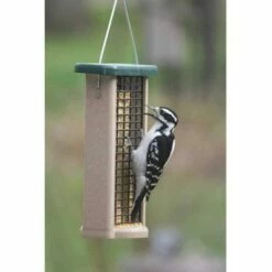 Birds Choice Woodpecker Cake 11.75oz, Case of 12 -Cheap Garden Decor Store unnamed file 13203