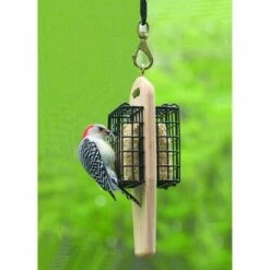 Birds Choice Woodpecker Cake 11.75oz, Case of 12 -Cheap Garden Decor Store unnamed file 13204
