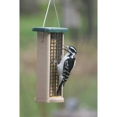 Birds Choice Bird 2-Cake Suet Feeder with Base Bird Feeder 3 Birds Choice Bird 2-Cake Suet Feeder with Base Bird Feeder