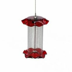 Birds Choice 1qt Forever Black Oil Sunflower Bird Feeder - Red
